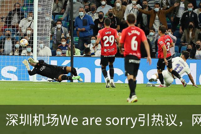 深圳机场We are sorry引热议，网友：sorry听800遍了